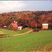 BANGOR FARM