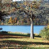 COLUMBIA COUNTY