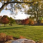 4 SEASONS ROOST, LANDSCAPE