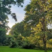SHUTT MILL PARK, HARRISBURG