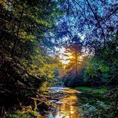 North Country Trail, Clarion County