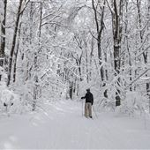 Laurel Ridge State Park, Somerset County