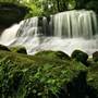 SPRINGFIELD FALLS, MERCER COUNTY