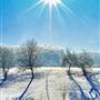 TIOGA COUNTY WINTER SCENERY