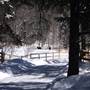 McKEAN COUNTY WINTER SCENERY