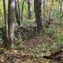 PROMPTON STATE PARK