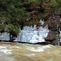 SALT SPRINGS STATE PARK