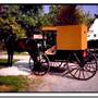 AMISH BUGGY, LAWRENCE COUNTY