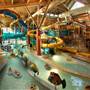 SPLASH LAGOON INDOOR WATER PARK