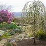 MOUNTAINTOP MID-CENTURY MODERN ESTATE, LANDSCAPE