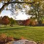 4 SEASONS ROOST, LANDSCAPE
