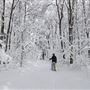 Laurel Ridge State Park, Somerset County