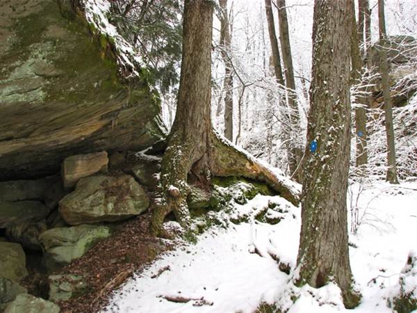 Location Image 2