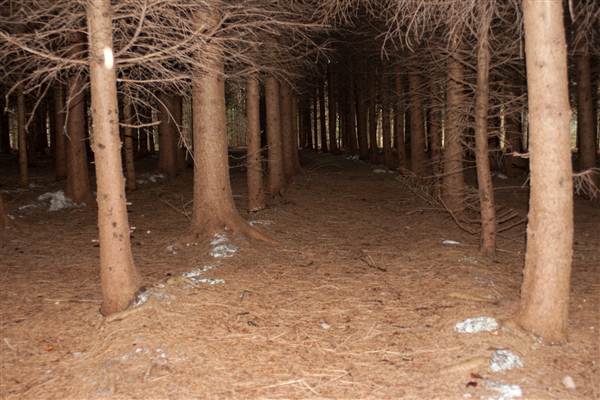 Location Image 2