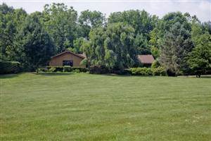 Location Image 2