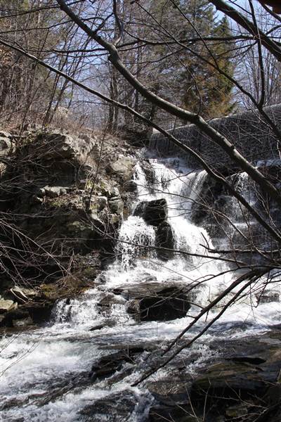 Location Image 4