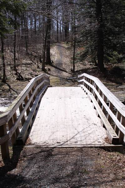 Promised Land Bridge