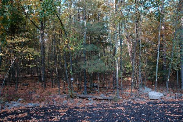 Location Image 3