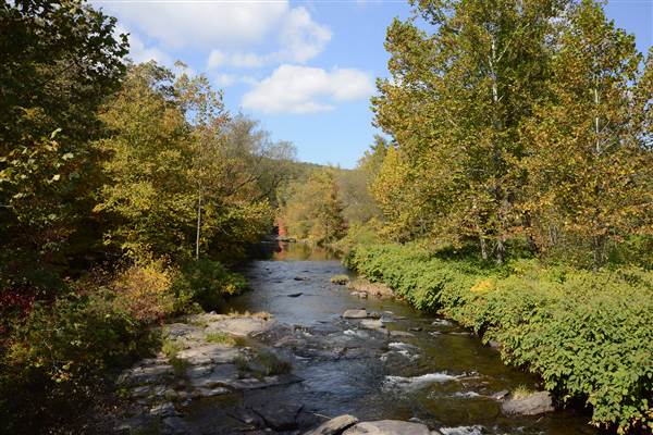 Pocono Stream