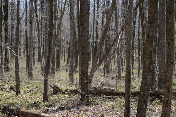 Location Image 5