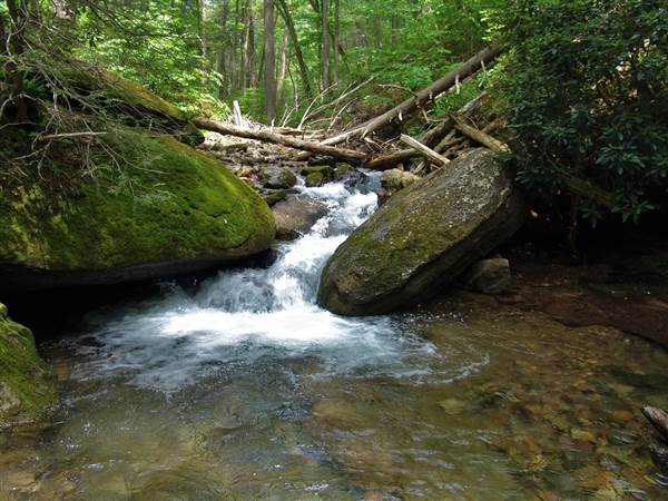 Appalachian Trail