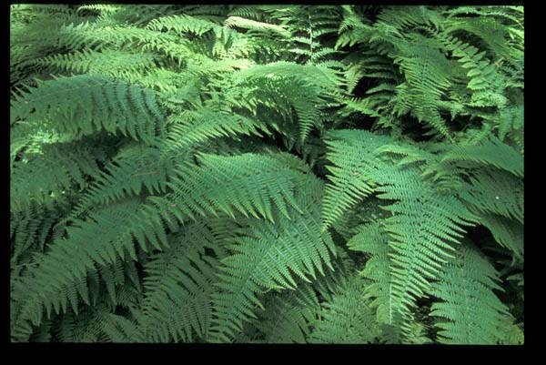 Location Image 4
