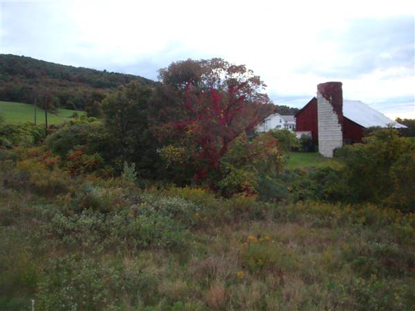 MEHOOPANY PROPERTY