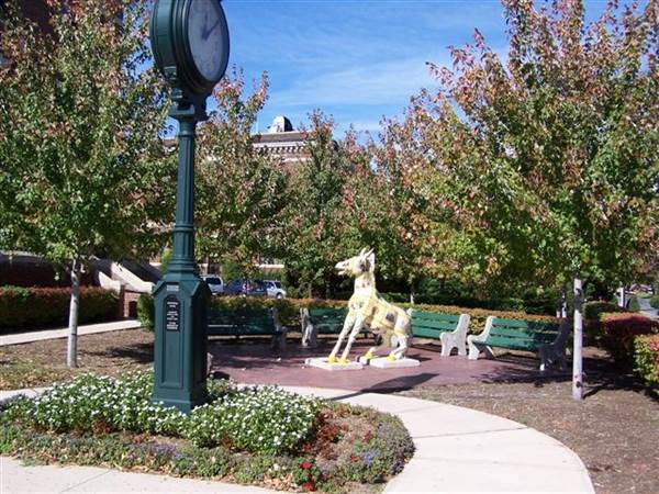 Location Image 5