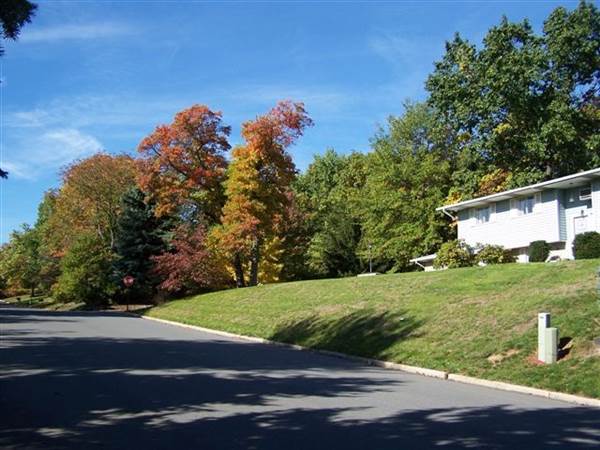 Location Image 5