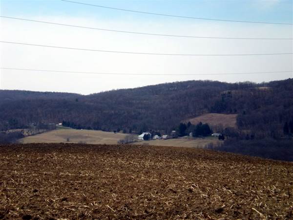 Location Image 3