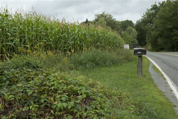 Location Image 4