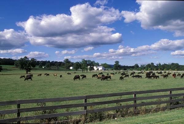 Location Image 2