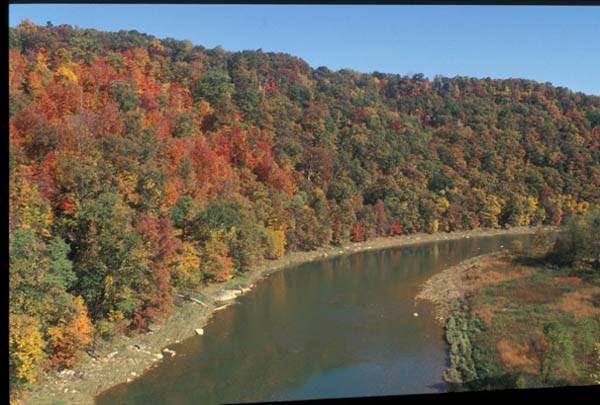 Location Image 4