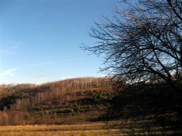 Location Image 2