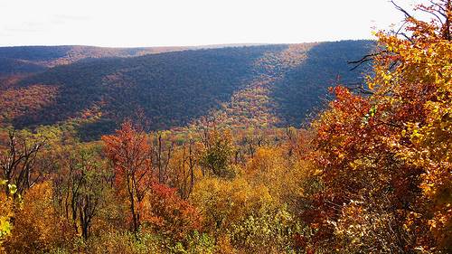 Tuscarora State Forest, Perry and Cumberland counties