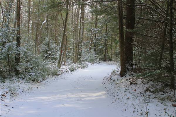 CLEAR CREEK STATE FOREST