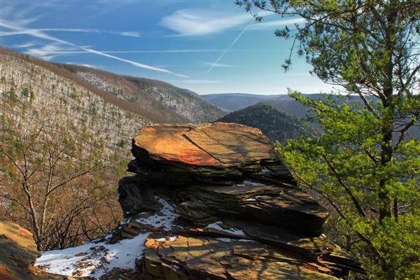 TIADAGHTON STATE FOREST