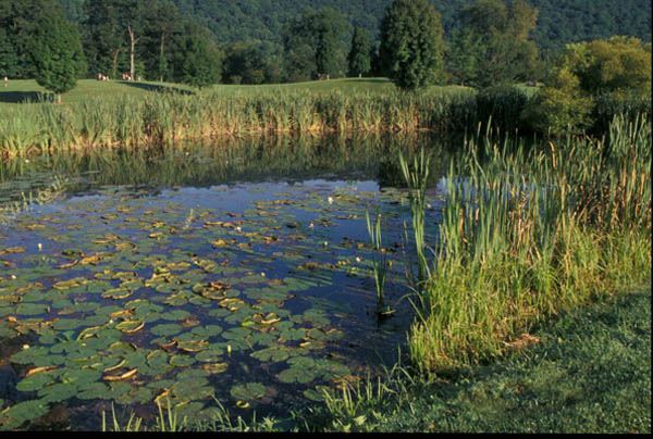 MONROE COUNTY