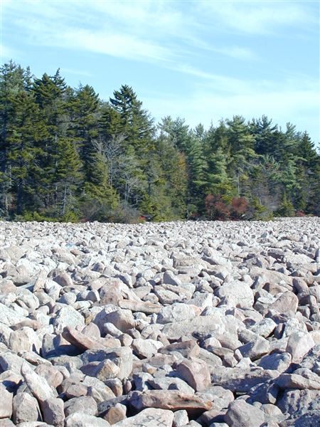 Location Image 2