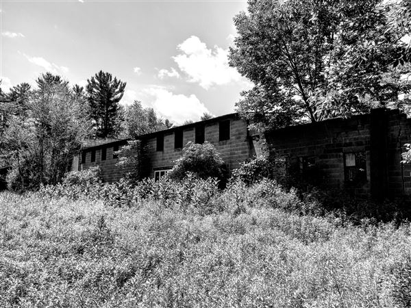 Location Image 5