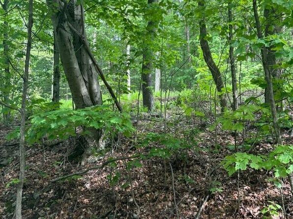 Location Image 3