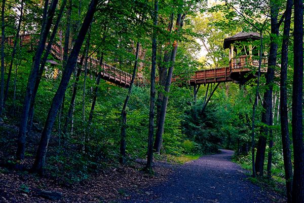Nay Aug Park, Scranton