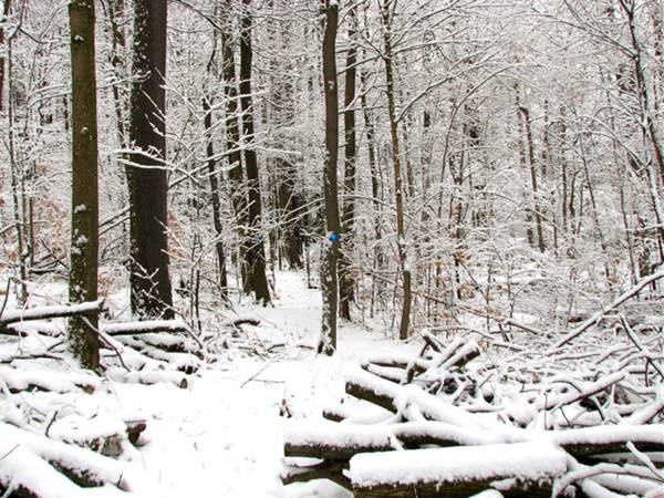 Location Image 4
