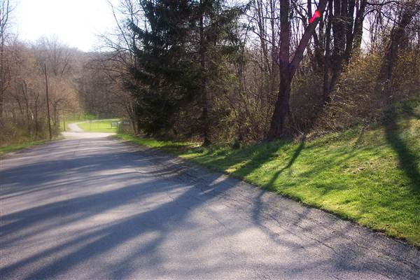 WOODED ACREAGE & ROADS, WESTMORELAND COUNTY