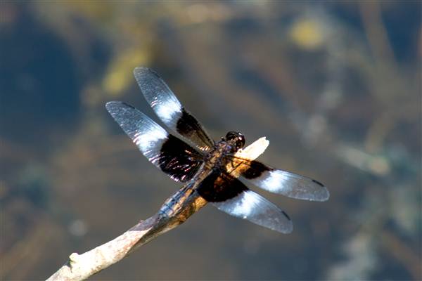 Location Image 5