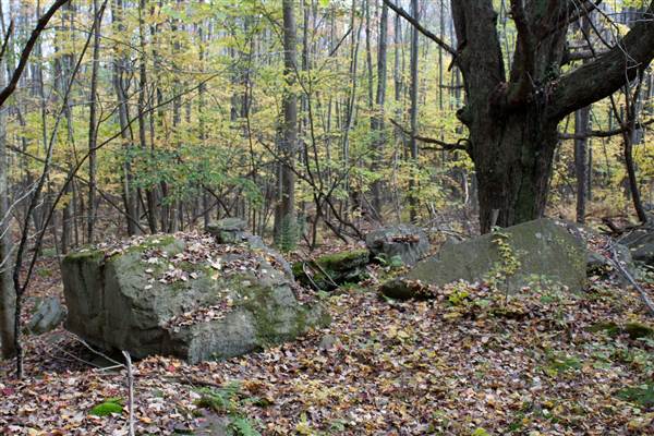 Location Image 3