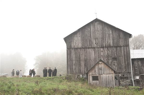 Fox Hill Farm