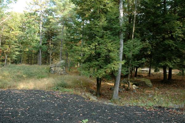 Location Image 4