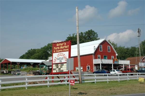 Buffalo Farm