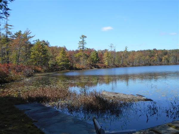 Location Image 5